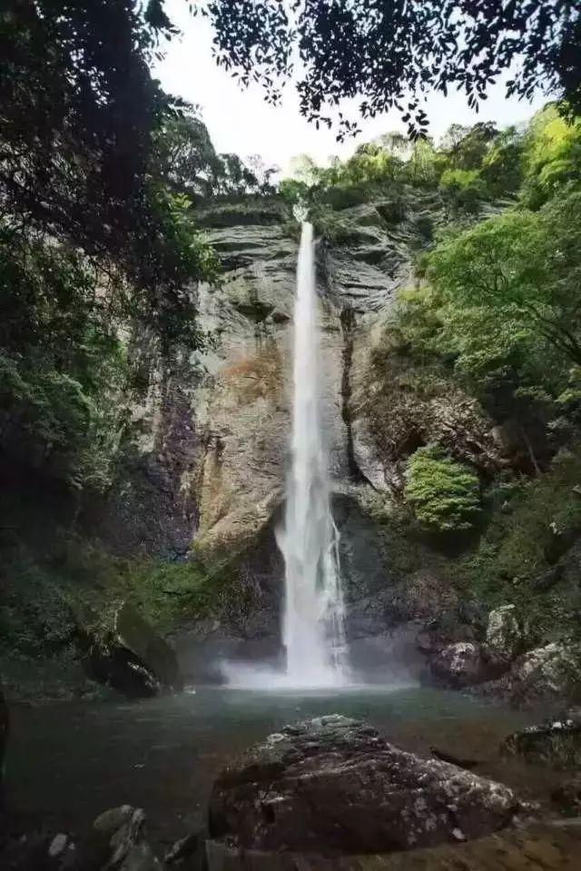 大厦管理者